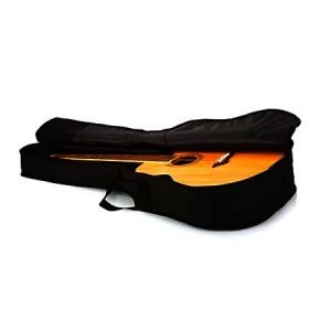 Best Acoustic Bass Cases